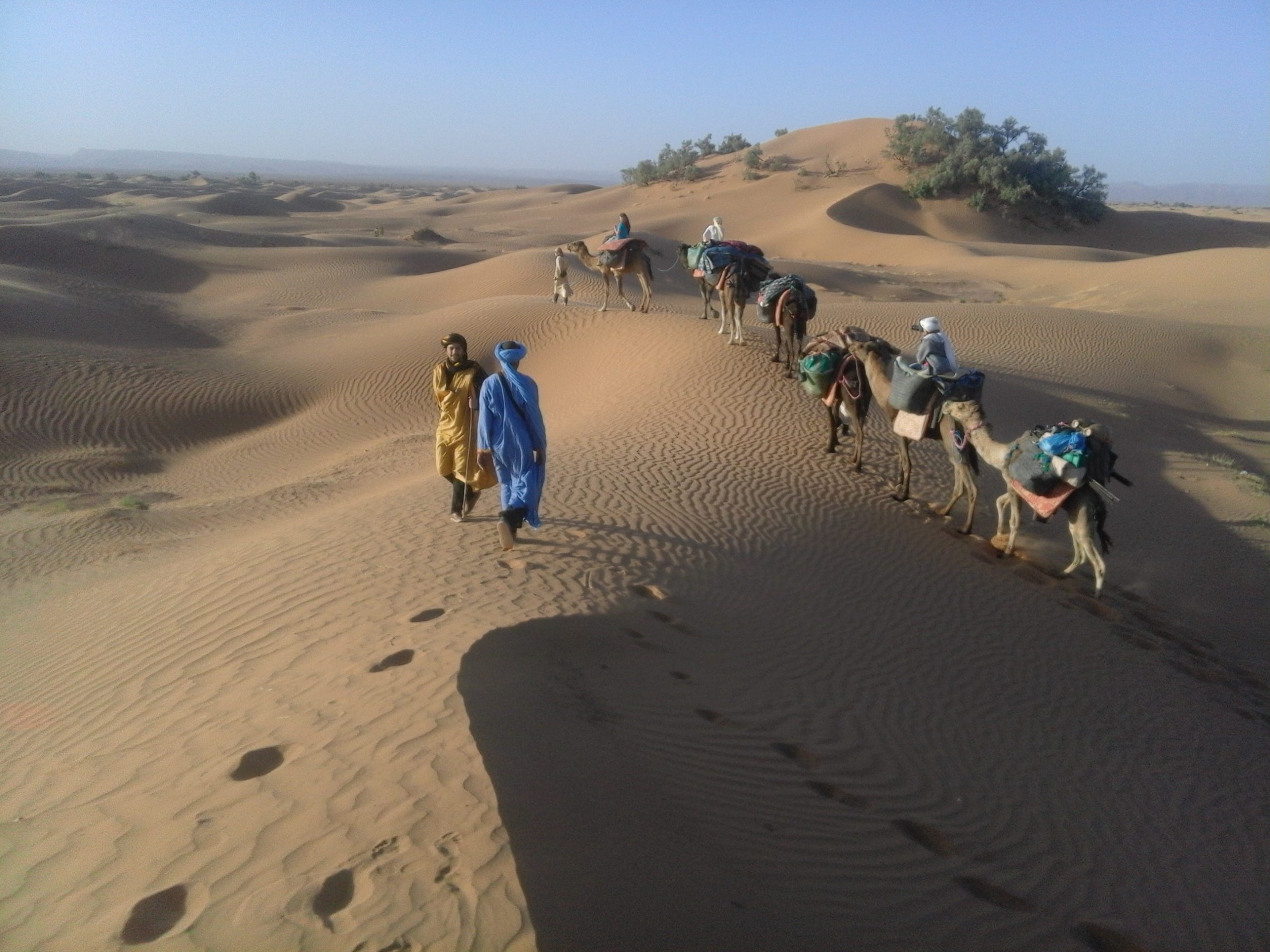 Desert Trekking 
