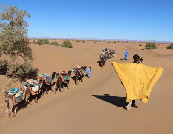 9 Days Morocco Camel & desert trekking