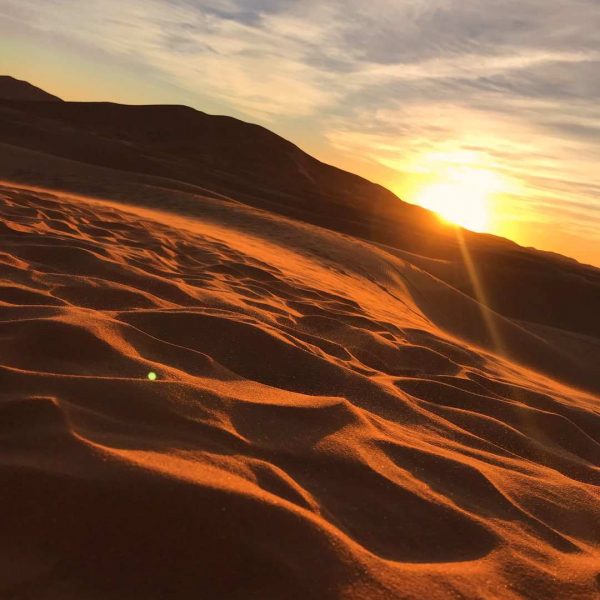Desert SunSet
